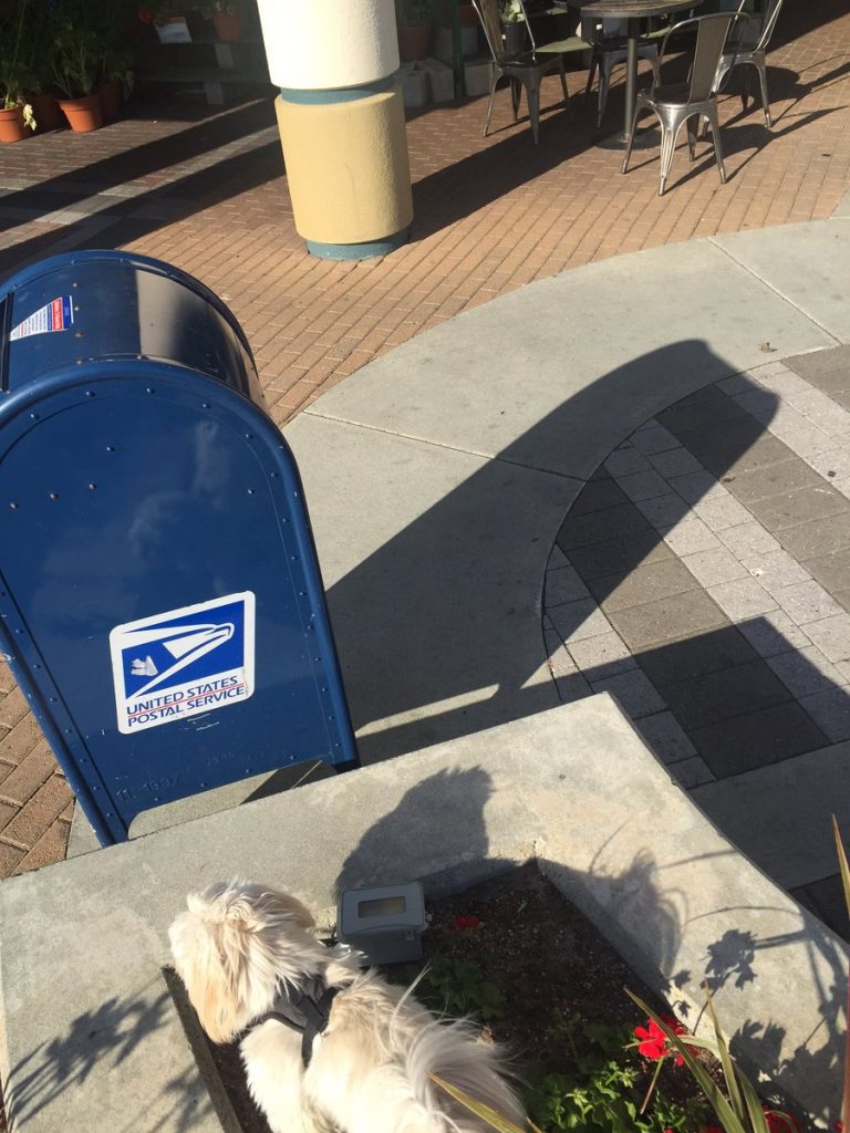 Five More Pictures at 530 Lytton 530Lytton