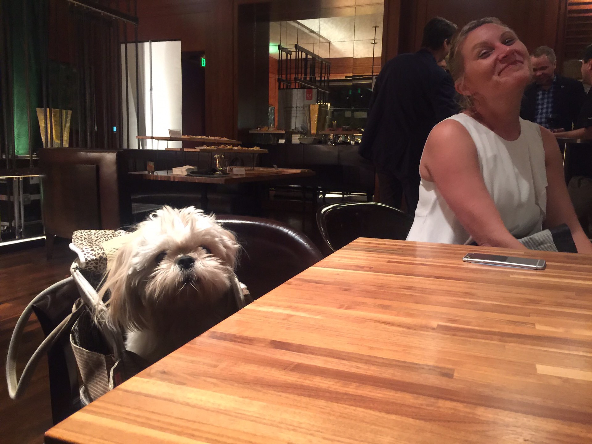 A-shih-tzu-named-Brady-is-exactly-a-Trojan-gift-horse-at-the-Adobe-hosted-networking-party-at-four-seasons