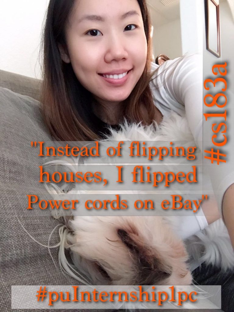 instead-of-flipping-houses-i-teach-you-to-arbitrage-power-cords-on-eBay
