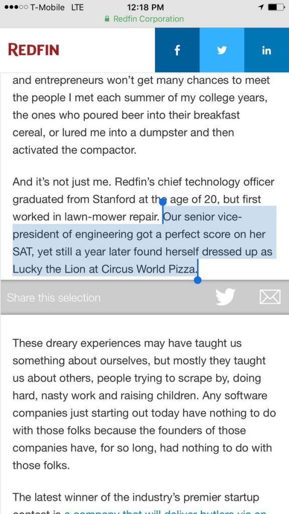 vp-engineering-lion-mascot