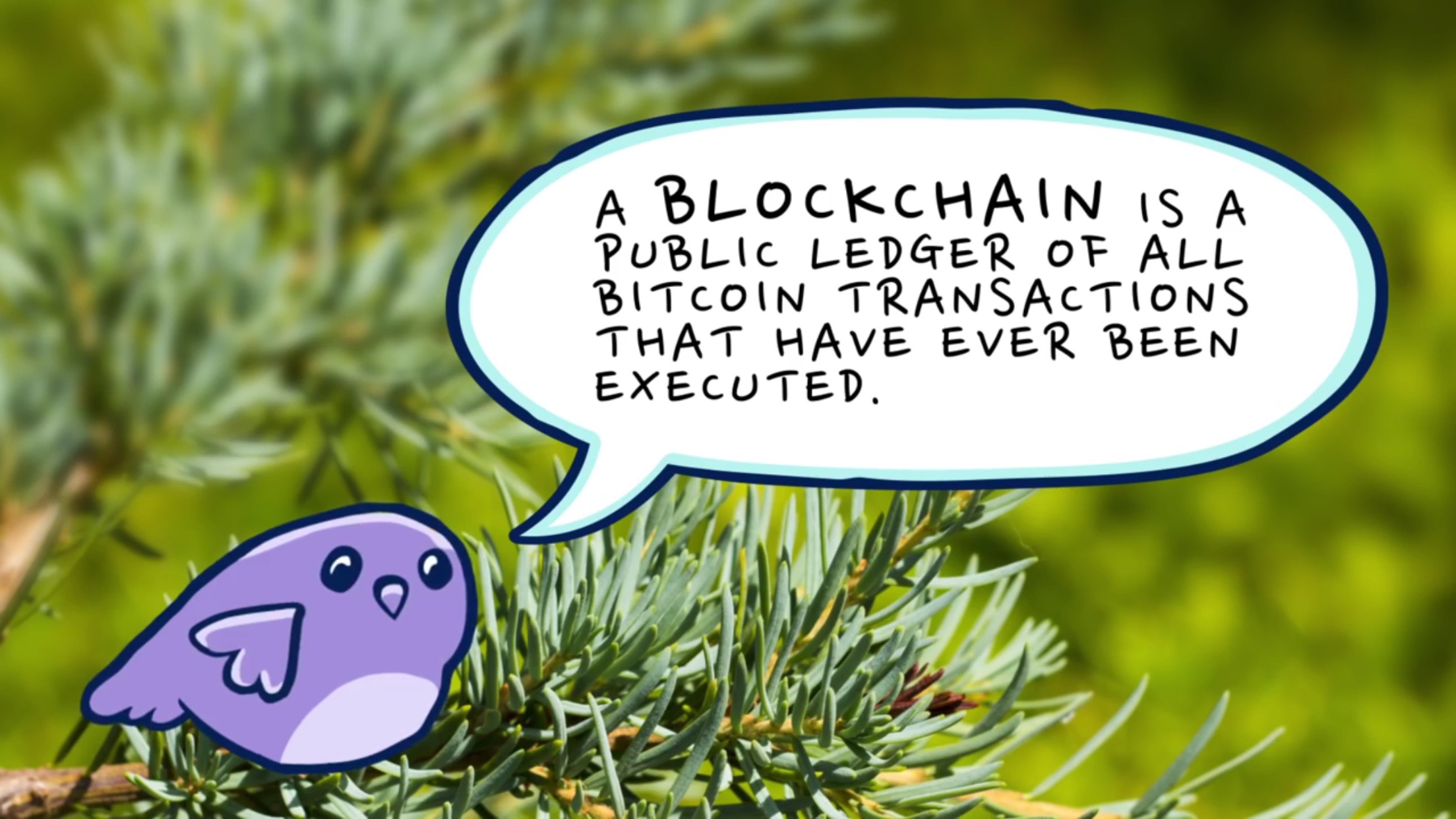 Cute-birdie-explains-the-blockchain-to-Stanford-Encryption-newbies