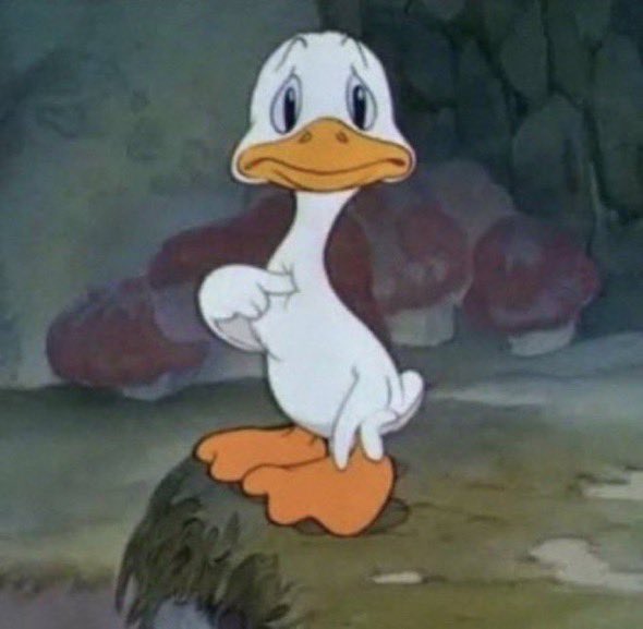 image0.jpeg