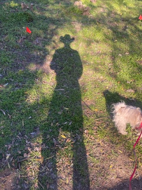 image5.jpeg