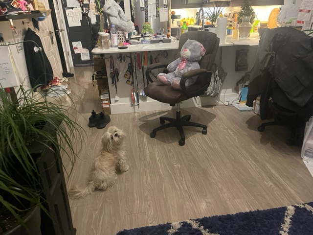 image6.jpeg
