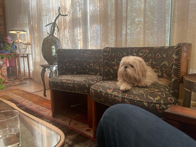 image6.jpeg