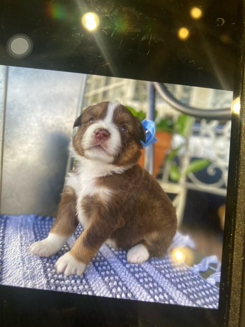 image18.jpeg