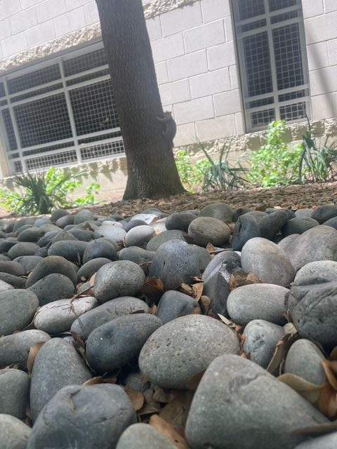 image8.jpeg