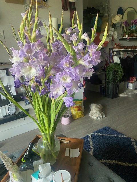 image2.jpeg