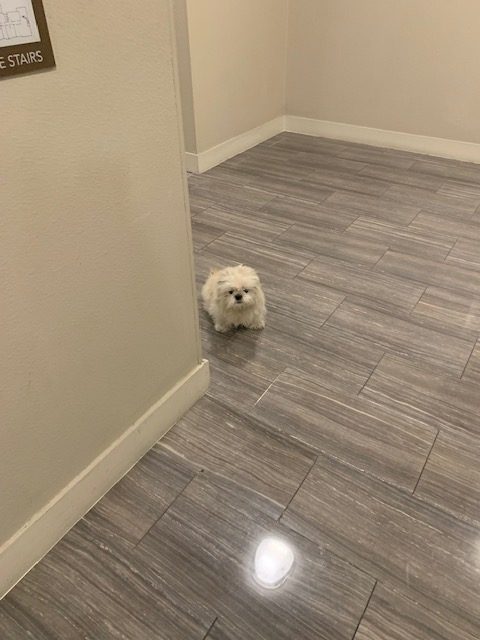 image1.jpeg