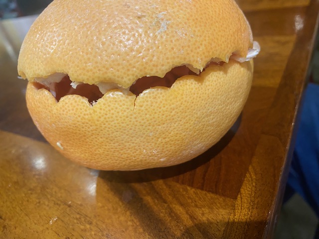 image1.jpeg