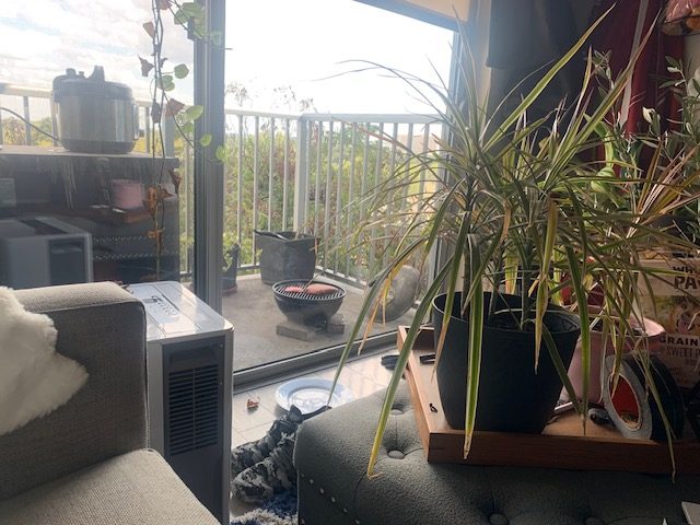 image13.jpeg