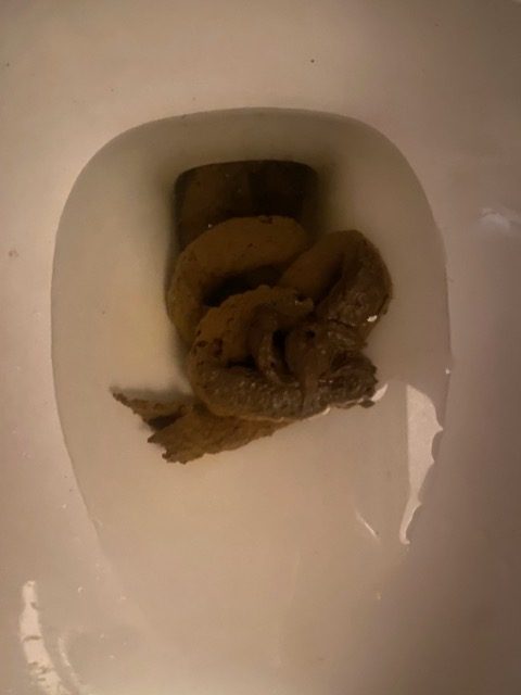 image10.jpeg