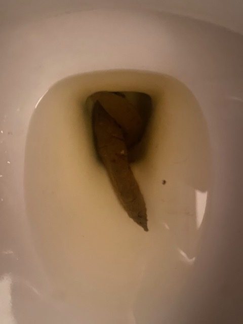 image8.jpeg