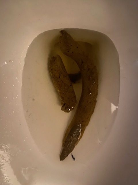 image9.jpeg