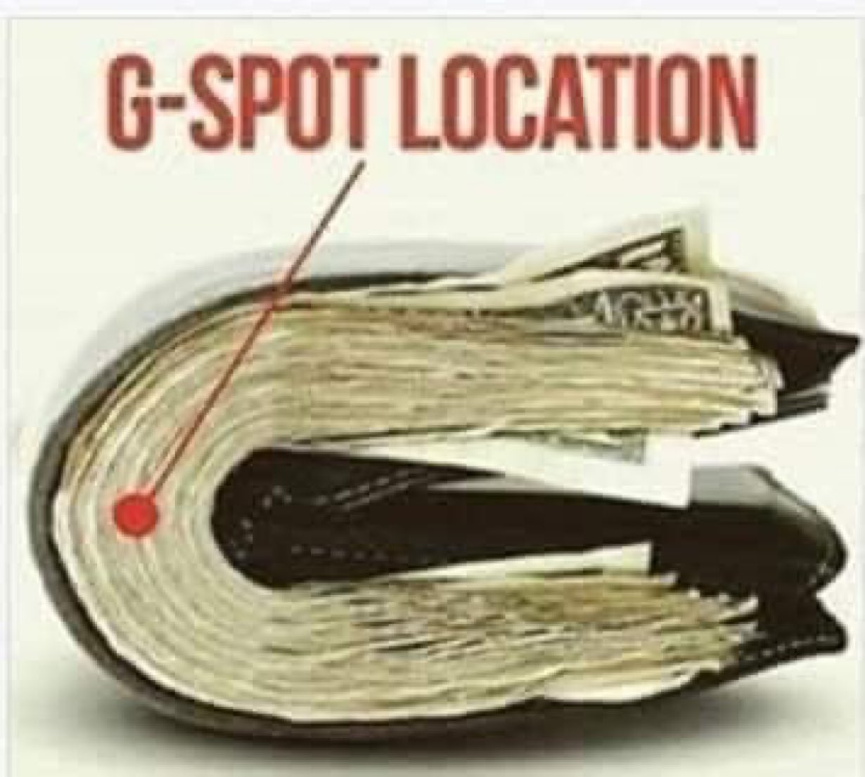 image5.jpeg