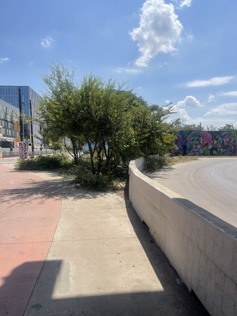 image16.jpeg