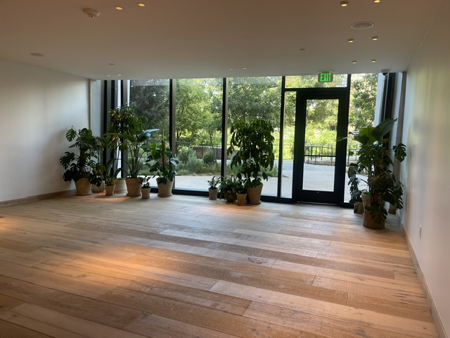 image17.jpeg