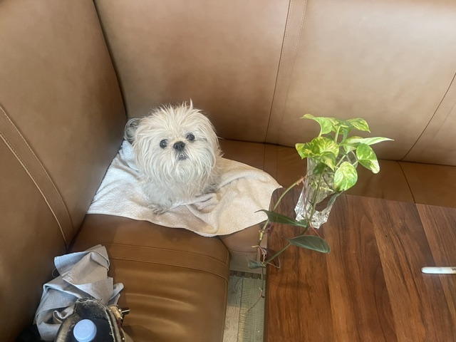 image1.jpeg