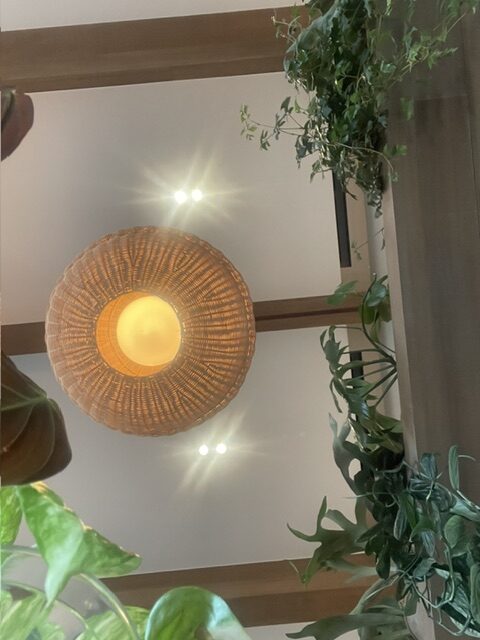 image2.jpeg