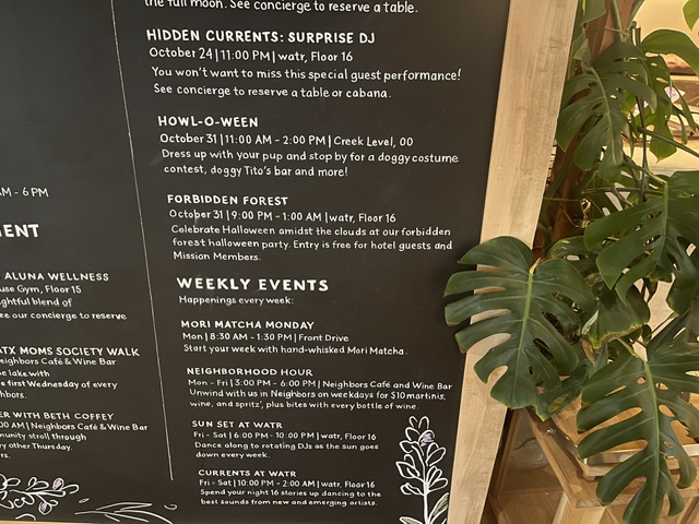 image5.jpeg